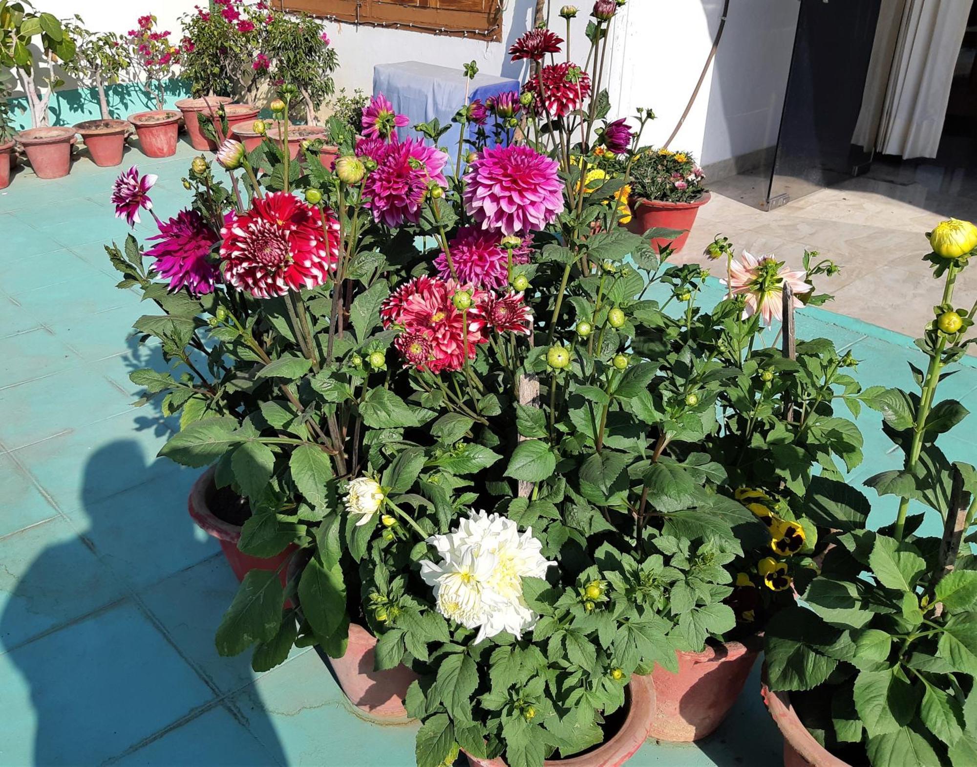 Fully Furnished Ish, Atithya Homestay With Various Amenities And Free Services In Lucknow, India Εξωτερικό φωτογραφία