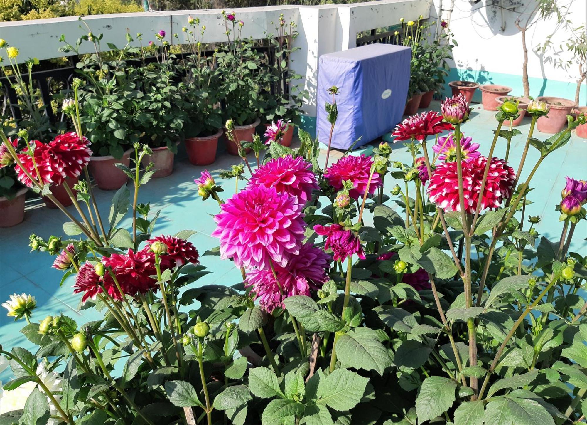 Fully Furnished Ish, Atithya Homestay With Various Amenities And Free Services In Lucknow, India Εξωτερικό φωτογραφία