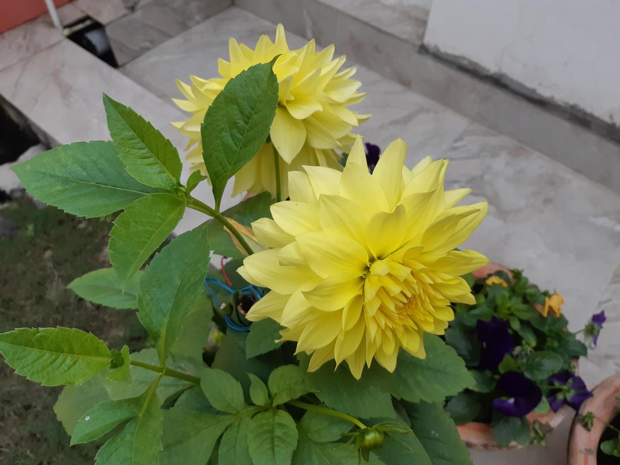 Fully Furnished Ish, Atithya Homestay With Various Amenities And Free Services In Lucknow, India Εξωτερικό φωτογραφία